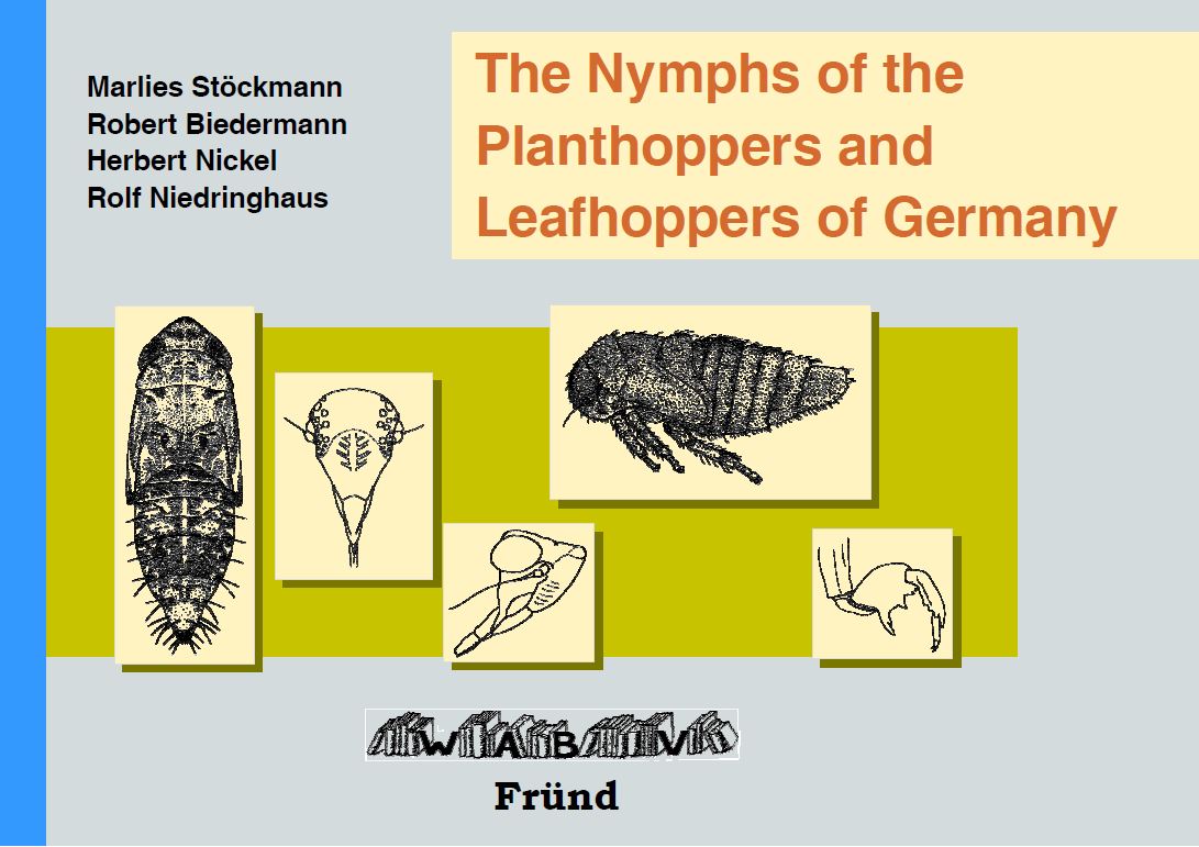 The Nymphs of the Planthoppers and Leafhoppers of Germany